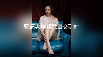 【AI换脸视频】李一桐《空姐日记》