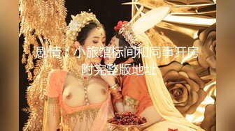 91大神苍先生酒店潜规则想做模特的气质白领小姐姐