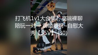 打飞机1v1大合集2, 高端裸聊陪玩一对一 御姐萝莉~自慰大秀【55V】 (30)