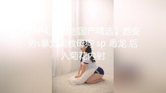 魅惑女仆