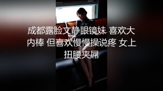 媲美秦先生91新晋大神sweattt作品与极品车模偷情呻吟超刺激-上