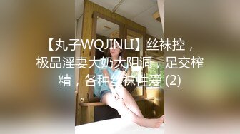 【丸子WQJINLI】丝袜控，极品淫妻大奶大阴洞，足交榨精，各种丝袜性爱 (2)