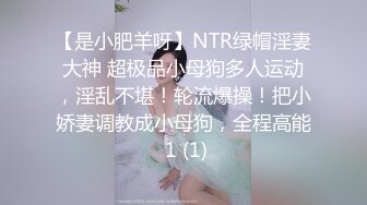 【是小肥羊呀】NTR绿帽淫妻大神 超极品小母狗多人运动，淫乱不堪！轮流爆操！把小娇妻调教成小母狗，全程高能 1 (1)