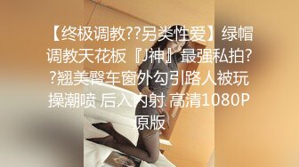 【终极调教??另类性爱】绿帽调教天花板『J神』最强私拍??翘美臀车窗外勾引路人被玩操潮喷 后入内射 高清1080P原版