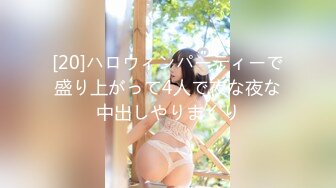 Hane Ame 雨波寫真 – 埃吉爾+梅琳娜[88P/434M]