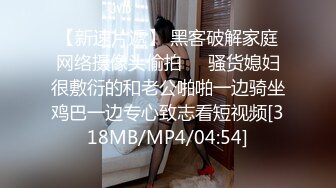 傲娇淑女 照样在胯下呻吟