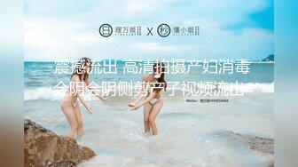 [2DF2] 两个黑丝大长腿的伪娘一起过新年 口交后入很是给力[MP4/53MB][BT种子]