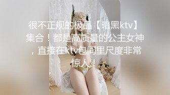 黑丝女仆的完美性爱