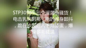 12号-女仆装要求深一点