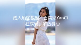 酒吧搭讪到一个极品气质少妇