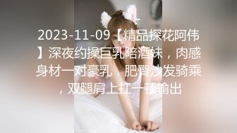 2023-11-09【精品探花阿伟】深夜约操巨乳陪酒妹，肉感身材一对豪乳，肥臀沙发骑乘，双腿肩上扛一顿输出