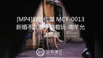 [MP4]麻豆传媒 MCY-0013 新婚不久妻子换着玩-南芊允 沈娜娜