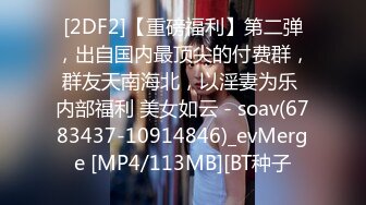 [2DF2]【重磅福利】第二弹，出自国内最顶尖的付费群，群友天南海北，以淫妻为乐 内部福利 美女如云 - soav(6783437-10914846)_evMerge [MP4/113MB][BT种子