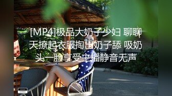 [MP4]极品大奶子少妇 聊聊天撩起衣服掏出奶子舔 吸奶头一脸享受主播静音无声