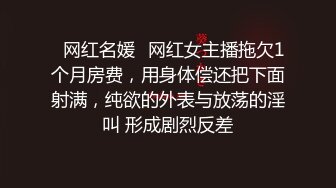 娇小身材丰乳肥臀嘟嘟嘴短发网红妹，开档黑丝露大屁股，假屌道具双洞齐插，掰穴特写粉嫩小穴非常诱人