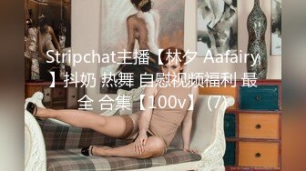 Stripchat主播【林夕 Aafairy】抖奶 热舞 自慰视频福利 最全 合集【100v】 (7)