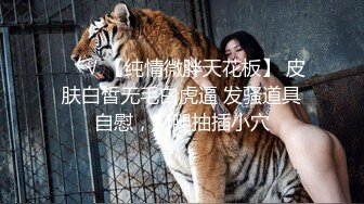 小野猫挂上铃铛才不会乱跑