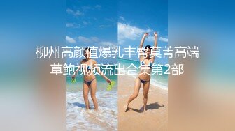 良家换妻泄密合集，极品轻熟女