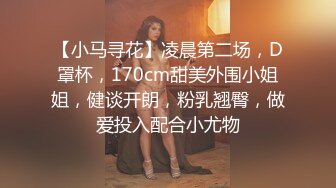 【小马寻花】凌晨第二场，D罩杯，170cm甜美外围小姐姐，健谈开朗，粉乳翘臀，做爱投入配合小尤物