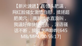 中秋怀念，97小姐姐欲罢不能