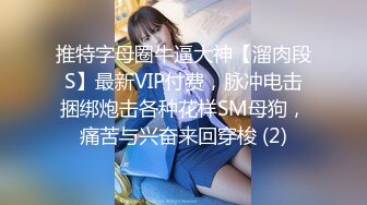 推特字母圈牛逼大神【溜肉段S】最新VIP付费，脉冲电击捆绑炮击各种花样SM母狗，痛苦与兴奋来回穿梭 (2)