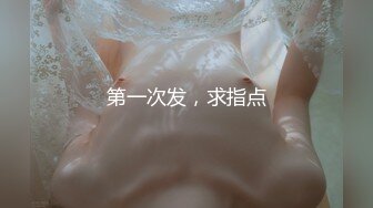 [DA-025]唐伯虎点春香