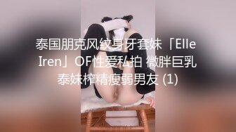 泰国朋克风纹身牙套妹「Elle Iren」OF性爱私拍 微胖巨乳泰妹榨精瘦弱男友 (1)