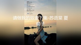 请做我的奴隶下集-苏语棠 夏晴子