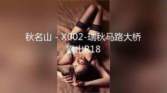 秋名山 - X002-瑞秋马路大桥露出R18