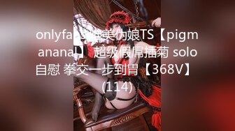 onlyfans 唯美伪娘TS【pigmananal】 超级假屌插菊 solo自慰 拳交一步到胃【368V】 (114)