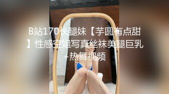 B站170长腿妹【芋圆有点甜】性感空姐写真丝袜美腿巨乳+热舞视频