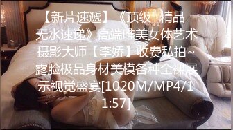 精品收藏 快快下载！王动模特ijoycebabe粉丝群文件整理[210P+18V/496M]