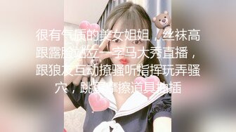 【自整理】P站amandarabbitxxx  车震 双飞 公共卫生间做爱 和情人在一起的各种性福  最新大合集【NV】 (41)