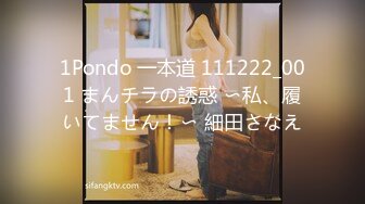 1Pondo 一本道 111222_001 まんチラの誘惑 〜私、履いてません！〜 細田さなえ